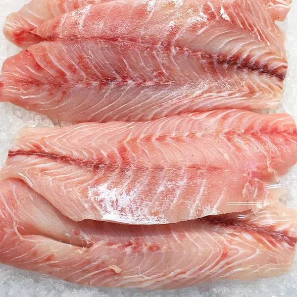 Capitaine fillet