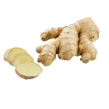 Ginger