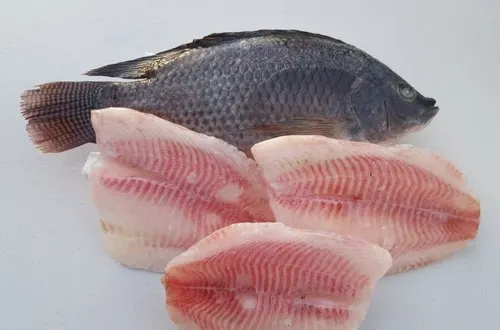 Filet de Tilapia